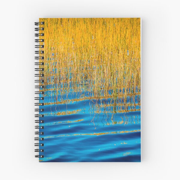 Item preview, Blue Waters Golden Grass  Merritt Island National Wildlife Refuge X102 designed and sold by RichFrancoCars.