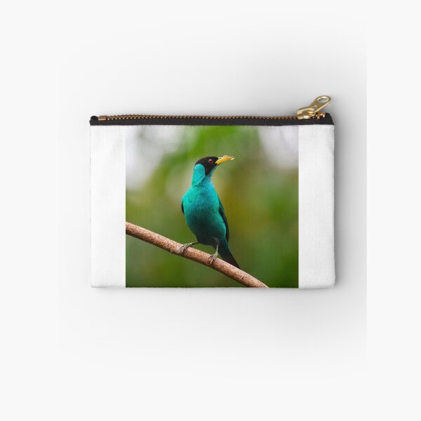 Item preview, Male Green Honeycreeper Alvaro Miranda Bird Photography designed and sold by Alvaro-Miranda.