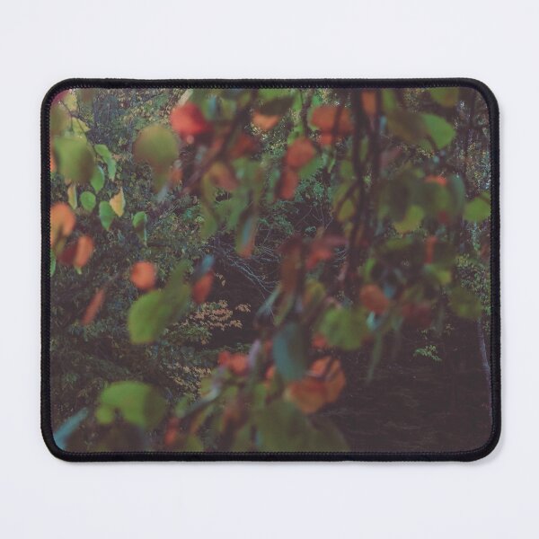 Item preview, Autumn Lake of the Falls designed and sold by Isla Creek Casuals.