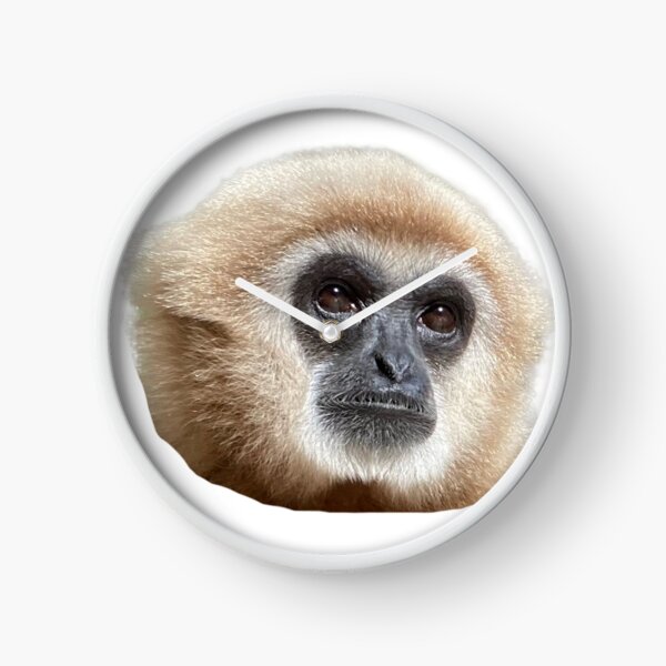 Item preview, Portrait of Spanky Cutout designed and sold by ipplsummerville.