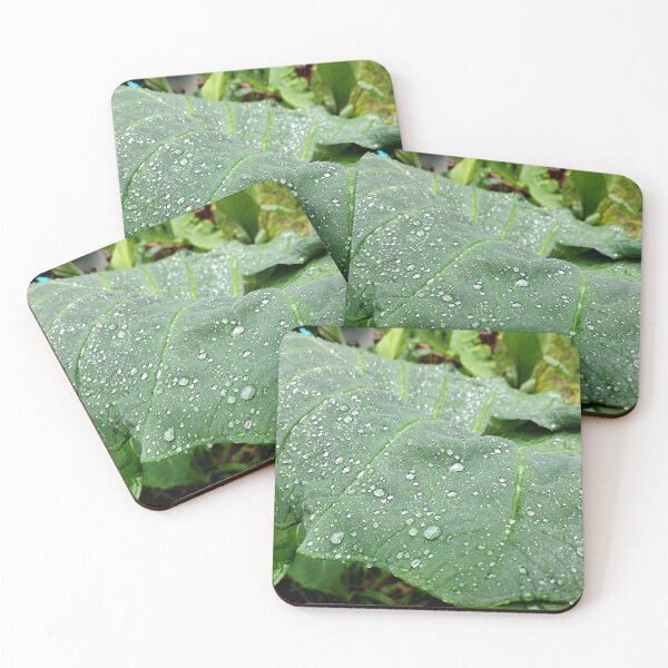 Item preview, Green Elephant Ears Plant designed and sold by EstelleCress.