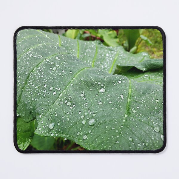Item preview, Green Elephant Ears Plant designed and sold by EstelleCress.