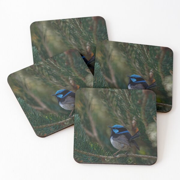 Item preview, Superb Fairywren in the Pines designed and sold by AvianAdventures.