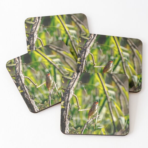 Item preview, Songbird Serenade designed and sold by AvianAdventures.