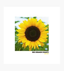 SUNFLOWER-REX ORANGE COUNTY Photographic Print