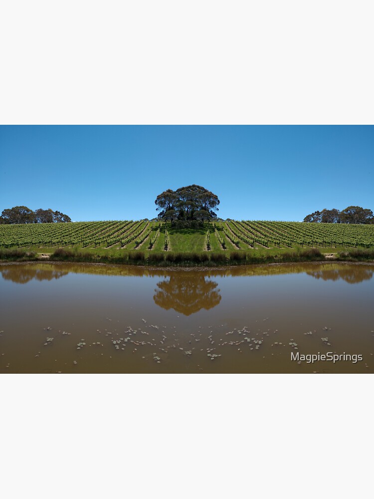 Thumbnail 3 of 3, Sticker, Vineyard Reflection at Magpie Springs in Spring designed and sold by MagpieSprings.