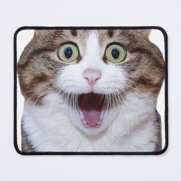 Item preview, Funny Cat Reaction designed and sold by barkandmeow.