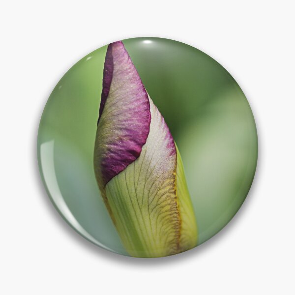 Item preview, Shes A Promising Iris Bud designed and sold by Joy Watson - Natural Light Photography .