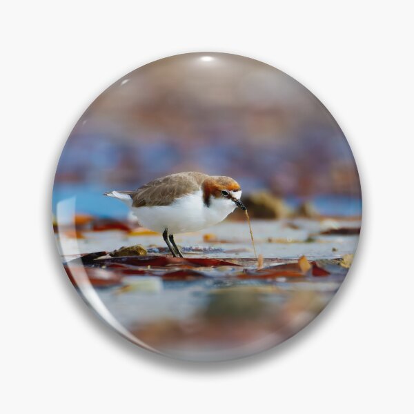 Item preview, Red-capped Plover Foraging on the Shoreline designed and sold by AvianAdventures.