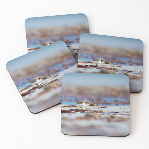 Item preview, Red-capped Plover Foraging on the Shoreline designed and sold by AvianAdventures.