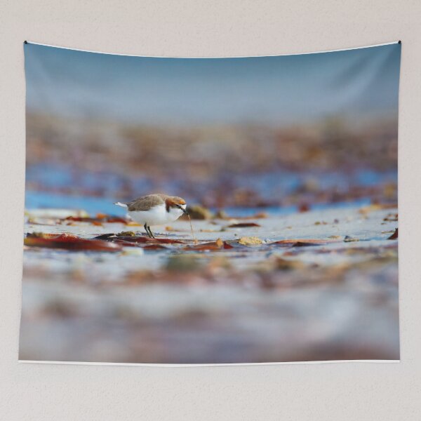 Item preview, Red-capped Plover Foraging on the Shoreline designed and sold by AvianAdventures.