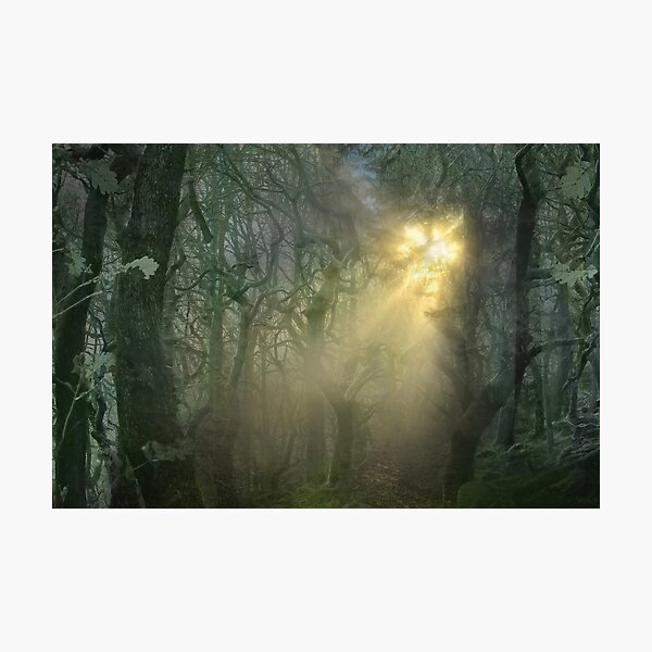 Item preview, Padley Gorge Luminescence  designed and sold by Alisonchambers2.