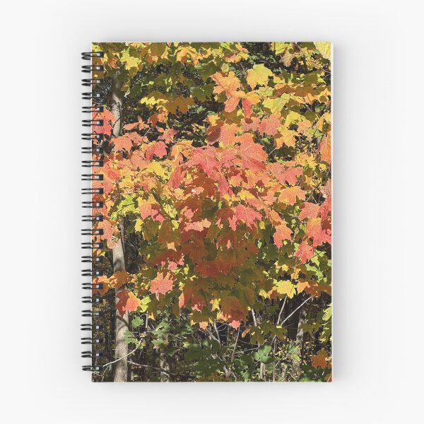 Item preview, Splendid Autumn designed and sold by deedlesmcgee.