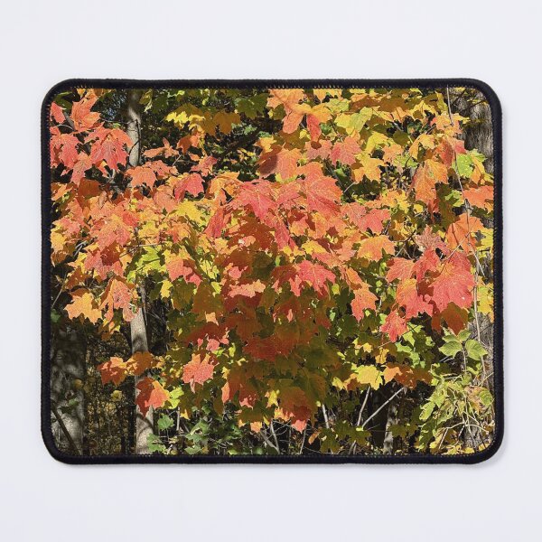 Item preview, Splendid Autumn designed and sold by deedlesmcgee.