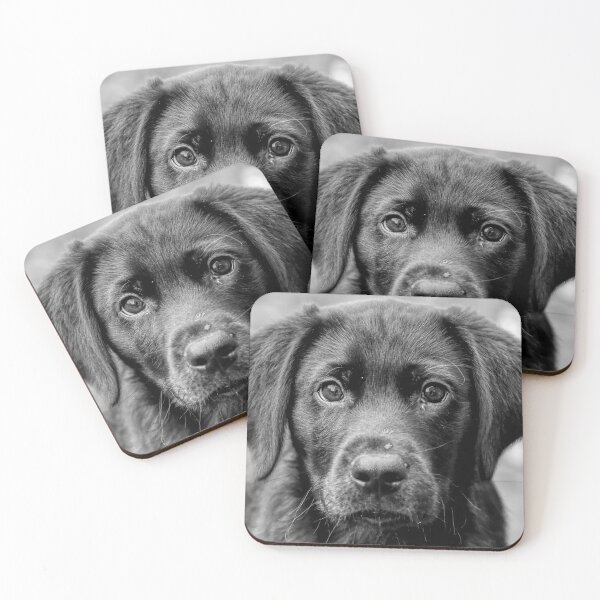 Item preview, Cute Black Labrador Puppy designed and sold by HelkoryoArt.