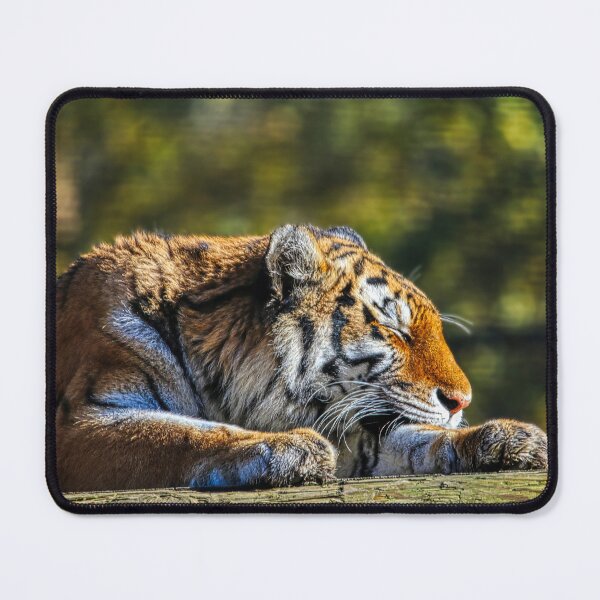 Item preview, Tiger Resting 4 designed and sold by HelkoryoArt.