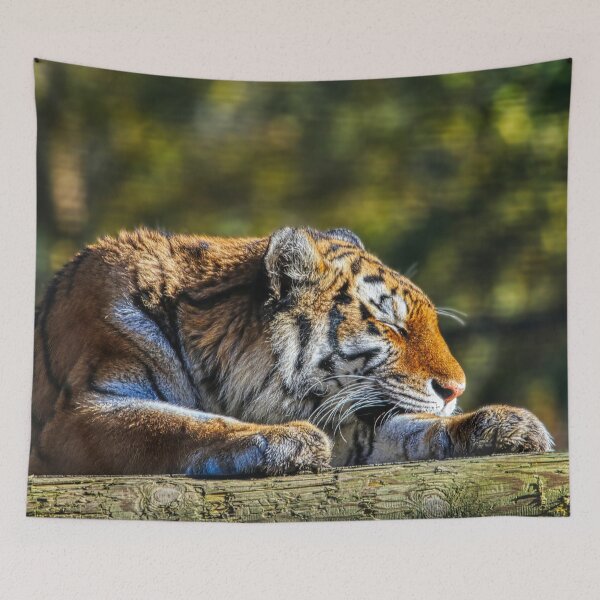 Item preview, Tiger Resting 4 designed and sold by HelkoryoArt.