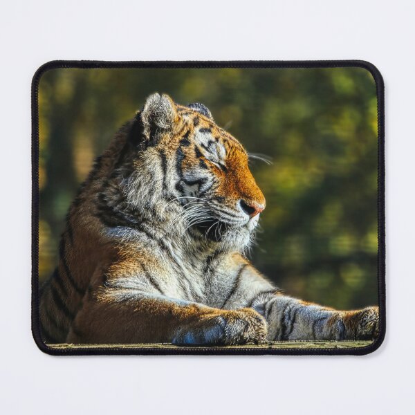 Item preview, Tiger Resting 3 designed and sold by HelkoryoArt.