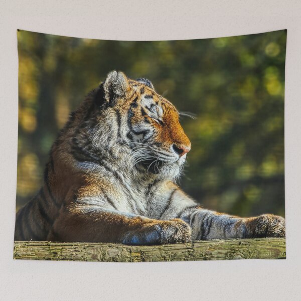 Item preview, Tiger Resting 3 designed and sold by HelkoryoArt.