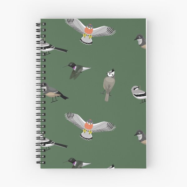 Item preview, American Bird Sticker Set Kestrel Shrike Hummingbird Phoebe Titmouse designed and sold by SUPERHERON.