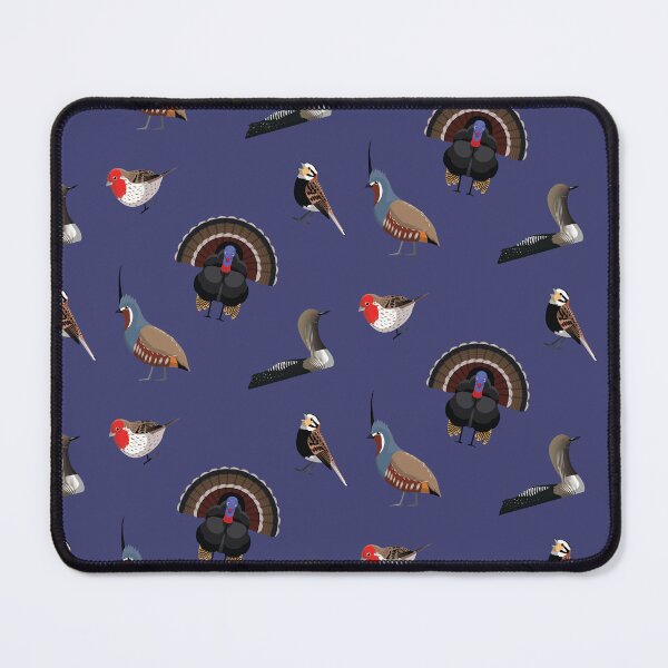 Item preview, American Bird Sticker Set Finch Turkey Quail Loon Longspur designed and sold by SUPERHERON.