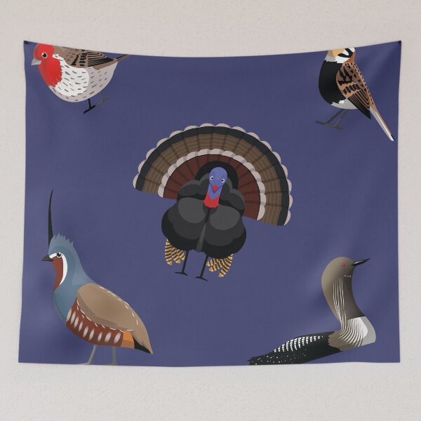 Item preview, American Bird Sticker Set Finch Turkey Quail Loon Longspur designed and sold by SUPERHERON.
