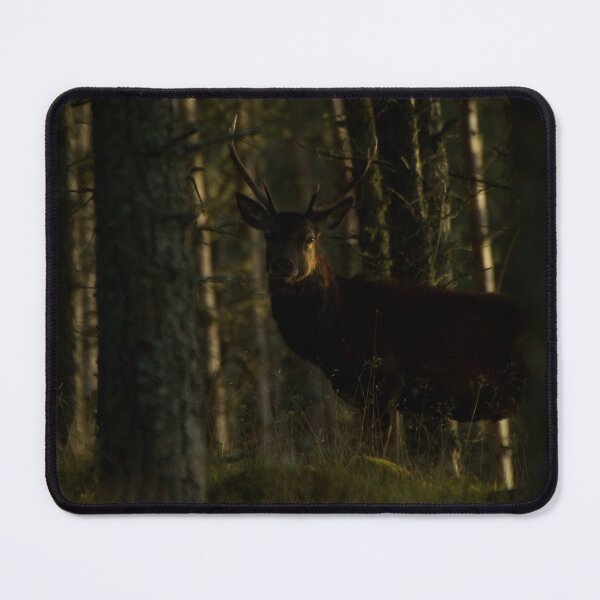 Item preview, The Watcher in the Woods designed and sold by Macrae images.