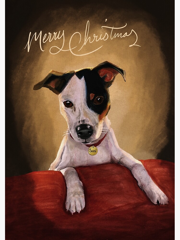 Santa Small Pets Rescue Animal Angels Dog Rescue Christmas Card