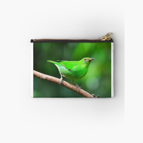 Item preview, Female Green Honeycreeper Alvaro Miranda Bird Photography designed and sold by Alvaro-Miranda.