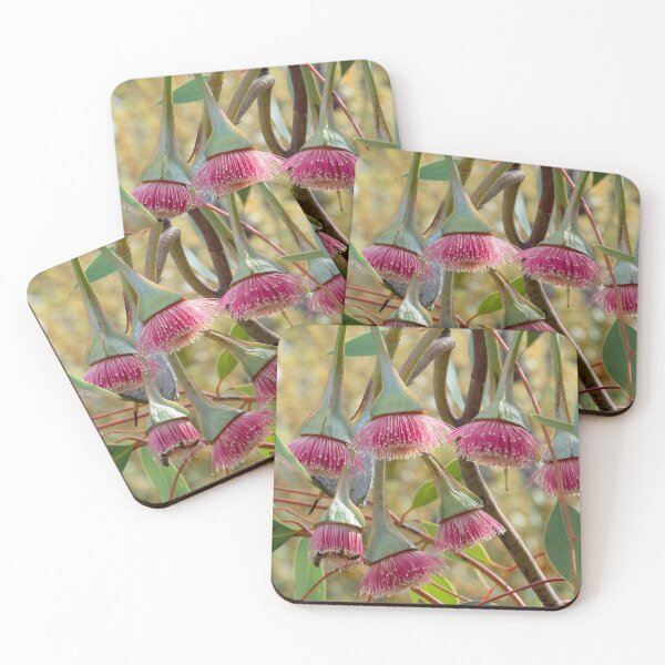 Item preview, Pear-fruited Mallee designed and sold by SallyB.Photography.
