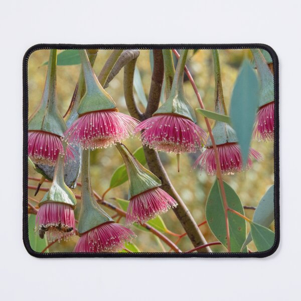 Item preview, Pear-fruited Mallee designed and sold by SallyB.Photography.