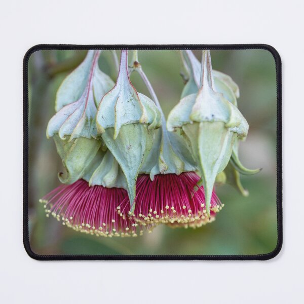 Item preview, Alatissima Elegance designed and sold by SallyB.Photography.