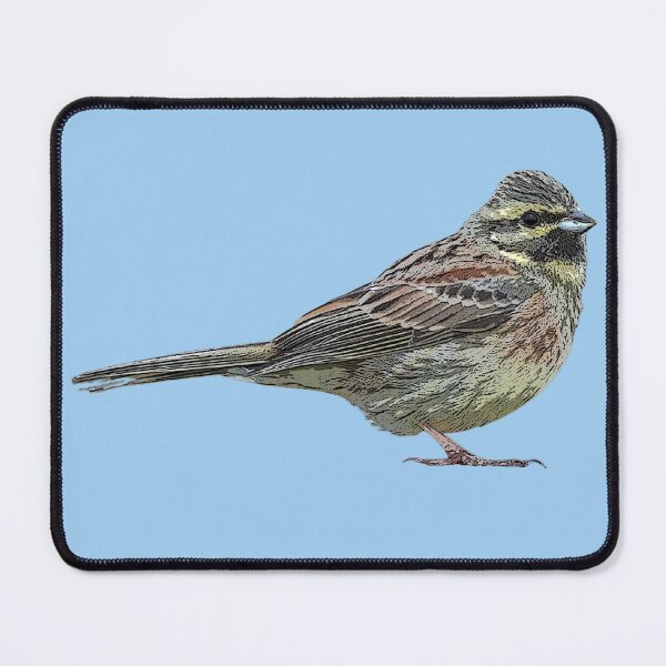 Item preview, Cirl Bunting Color Design designed and sold by designsasstultd.