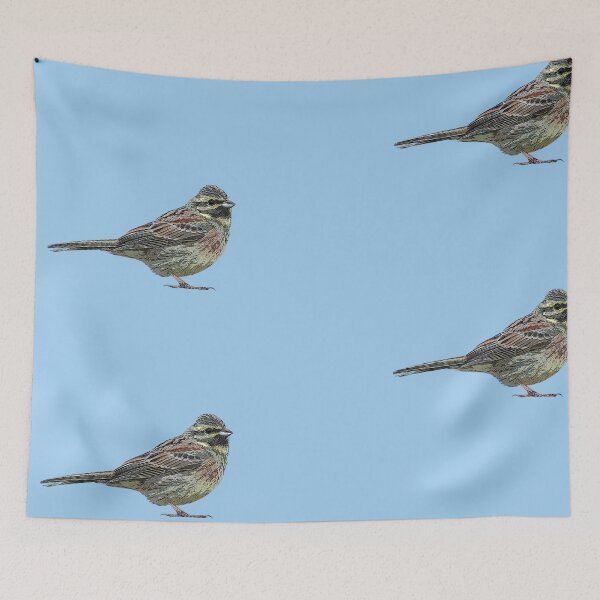 Item preview, Cirl Bunting Color Design  designed and sold by designsasstultd.
