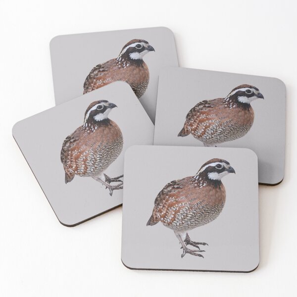 Item preview, Cheerful Bob White Quail designed and sold by EstelleCress.