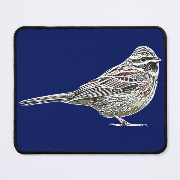 Item preview, Cirl Bunting White Alternate Design designed and sold by designsasstultd.