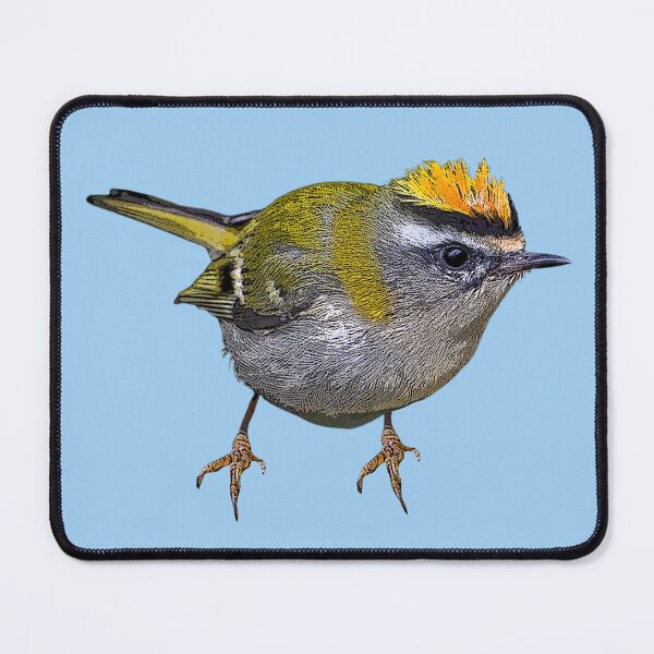 Item preview, Common Firecrest Color Design designed and sold by designsasstultd.