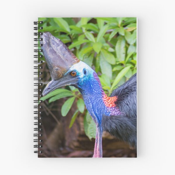 Item preview, Southern Cassowary designed and sold by MattBradfield.