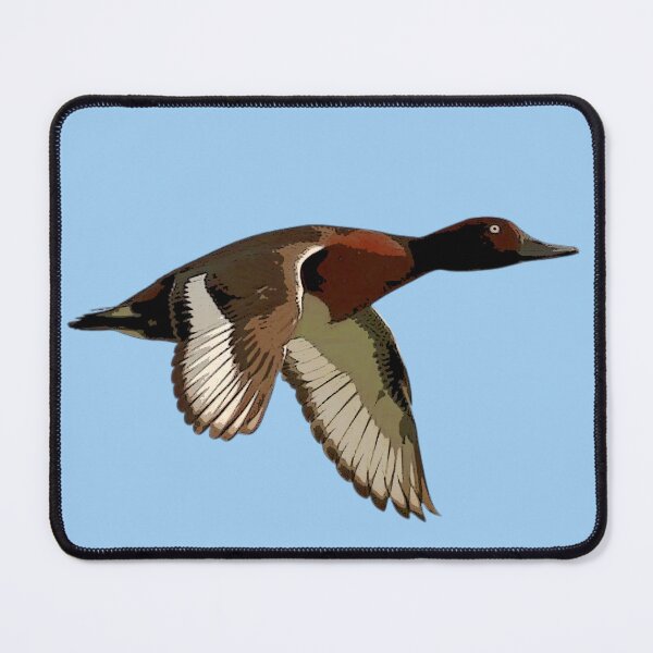 Item preview, Ferruginous Duck Color Design designed and sold by designsasstultd.