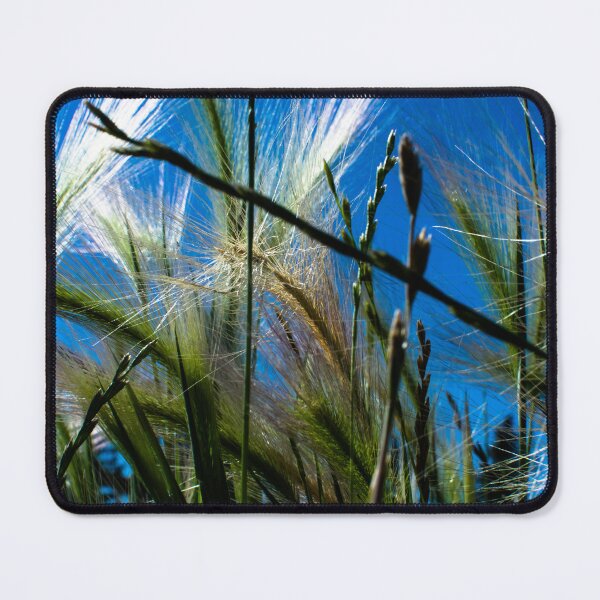 Item preview, Grass macro shot designed and sold by CanadianWild418.