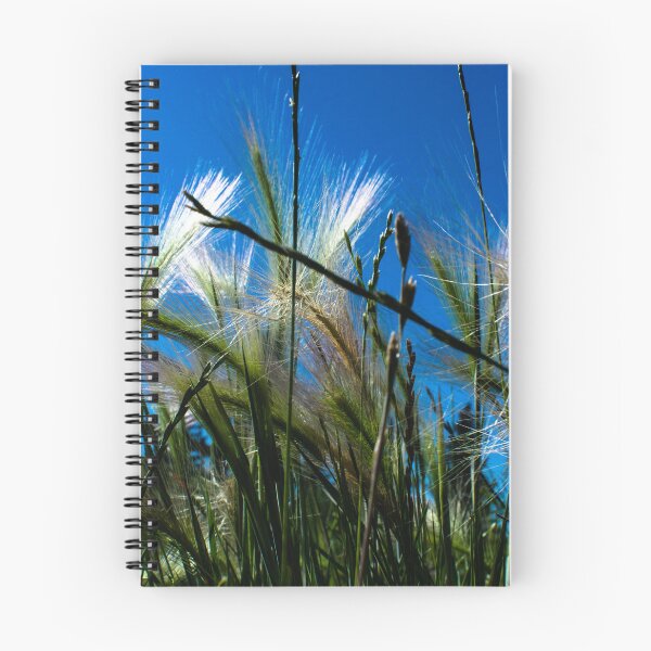 Item preview, Grass macro shot designed and sold by CanadianWild418.
