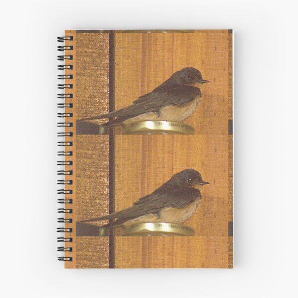 Item preview, dls baby barn swallow designed and sold by pcfyi.