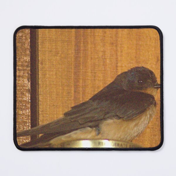 Item preview, dls baby barn swallow designed and sold by pcfyi.