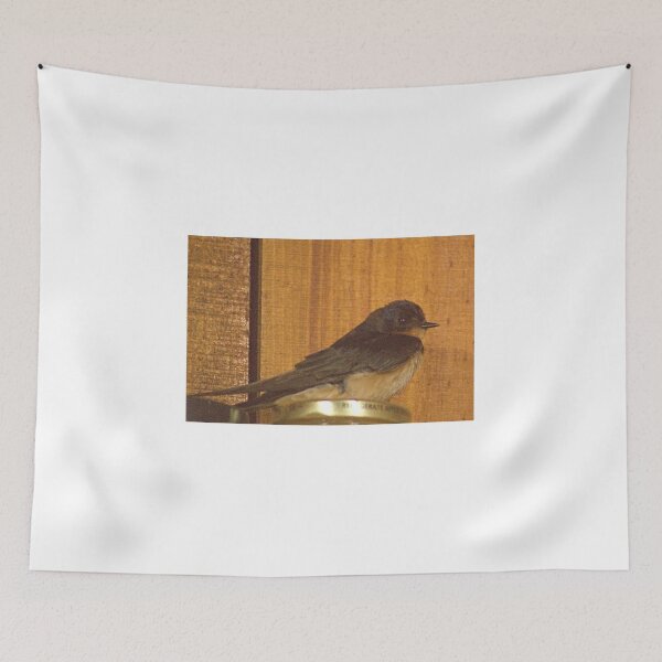 Item preview, dls baby barn swallow designed and sold by pcfyi.