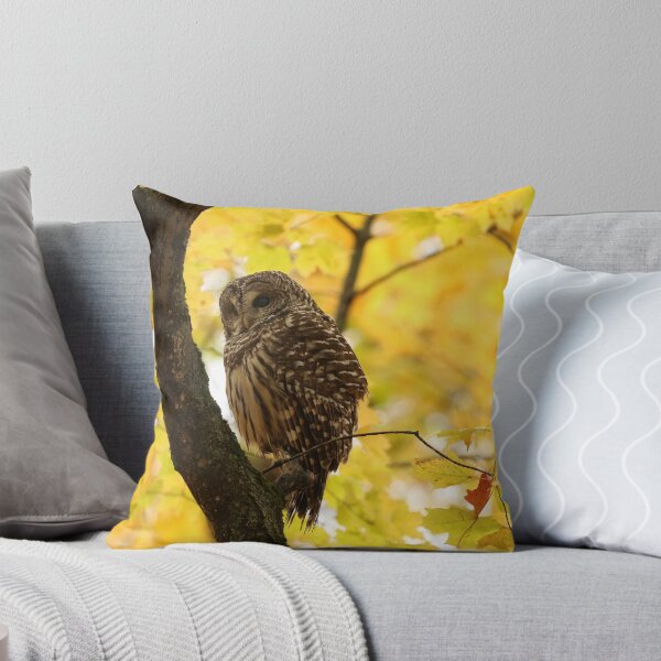 Item preview, Barred owl in autumn designed and sold by locustgirl.