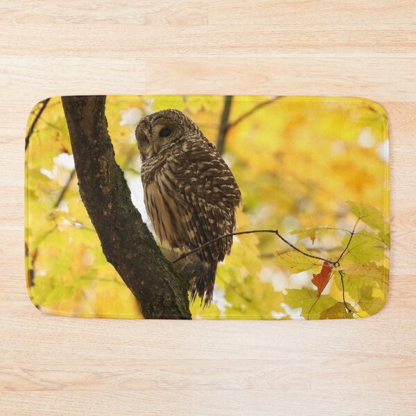 Item preview, Barred owl in autumn designed and sold by locustgirl.