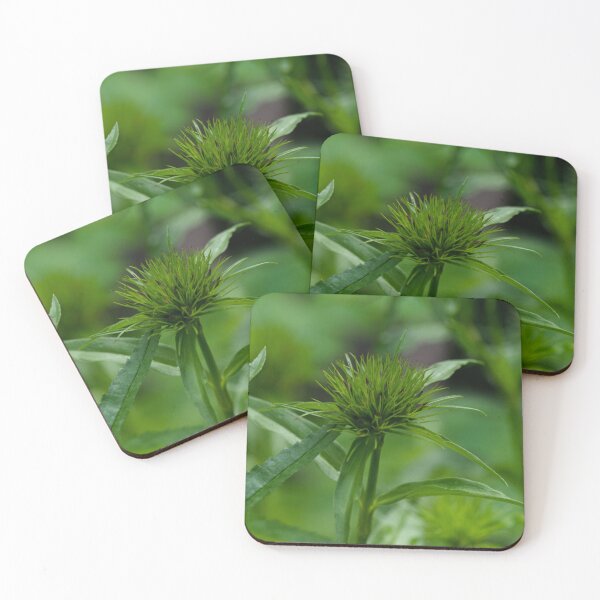 Item preview, About to bloom designed and sold by CanadianWild418.