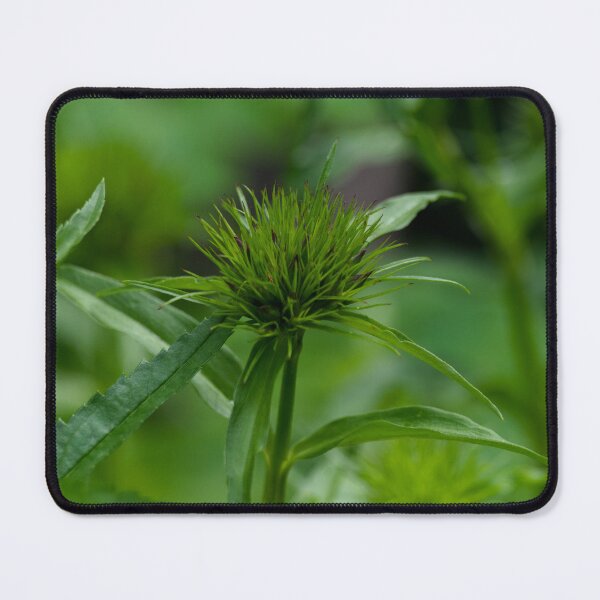 Item preview, About to bloom designed and sold by CanadianWild418.