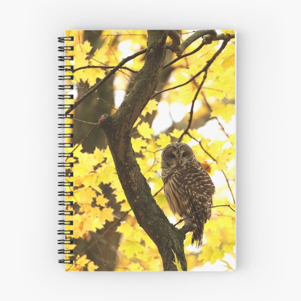 Item preview, Autumn barred owl designed and sold by locustgirl.