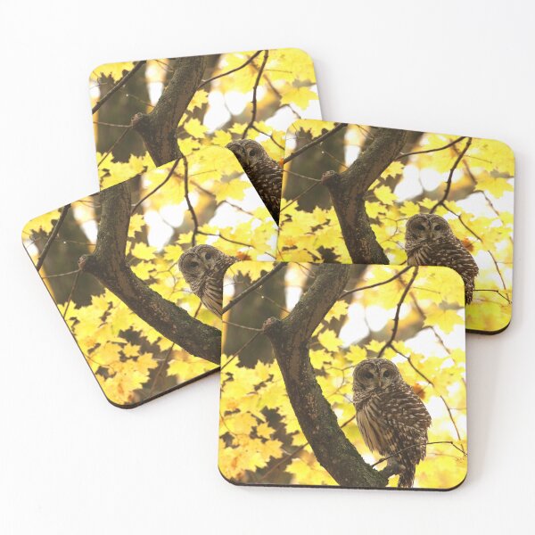 Item preview, Autumn barred owl designed and sold by locustgirl.